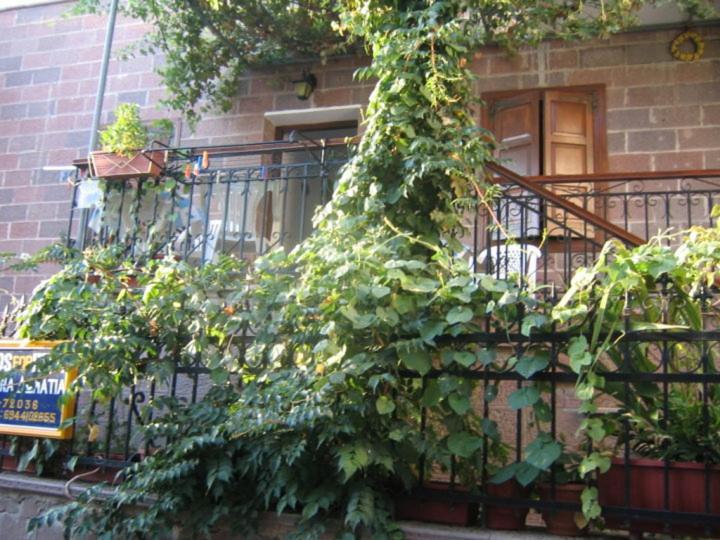 Μαχη Ενοικιαζόμενα Δωμάτια Mithimna Exteriér fotografie
